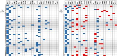 The molecular profile in patients with polycythemia vera and essential thrombocythemia is dynamic and correlates with disease’s phenotype